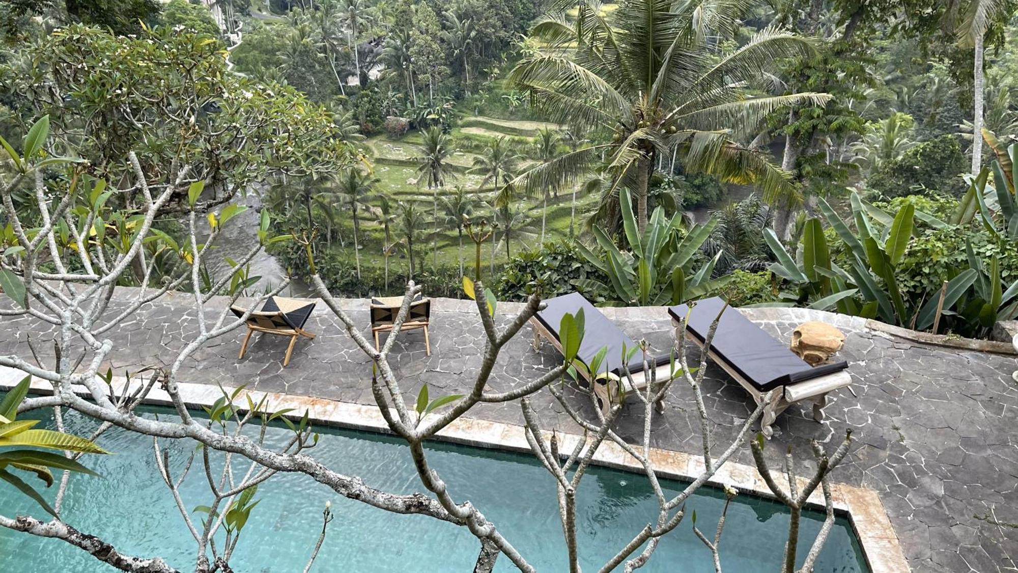 ウブド Bali Maison Bed & Breakfast エクステリア 写真