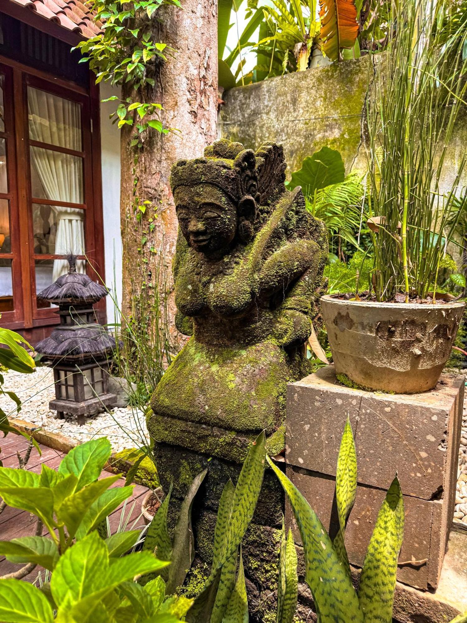 ウブド Bali Maison Bed & Breakfast エクステリア 写真