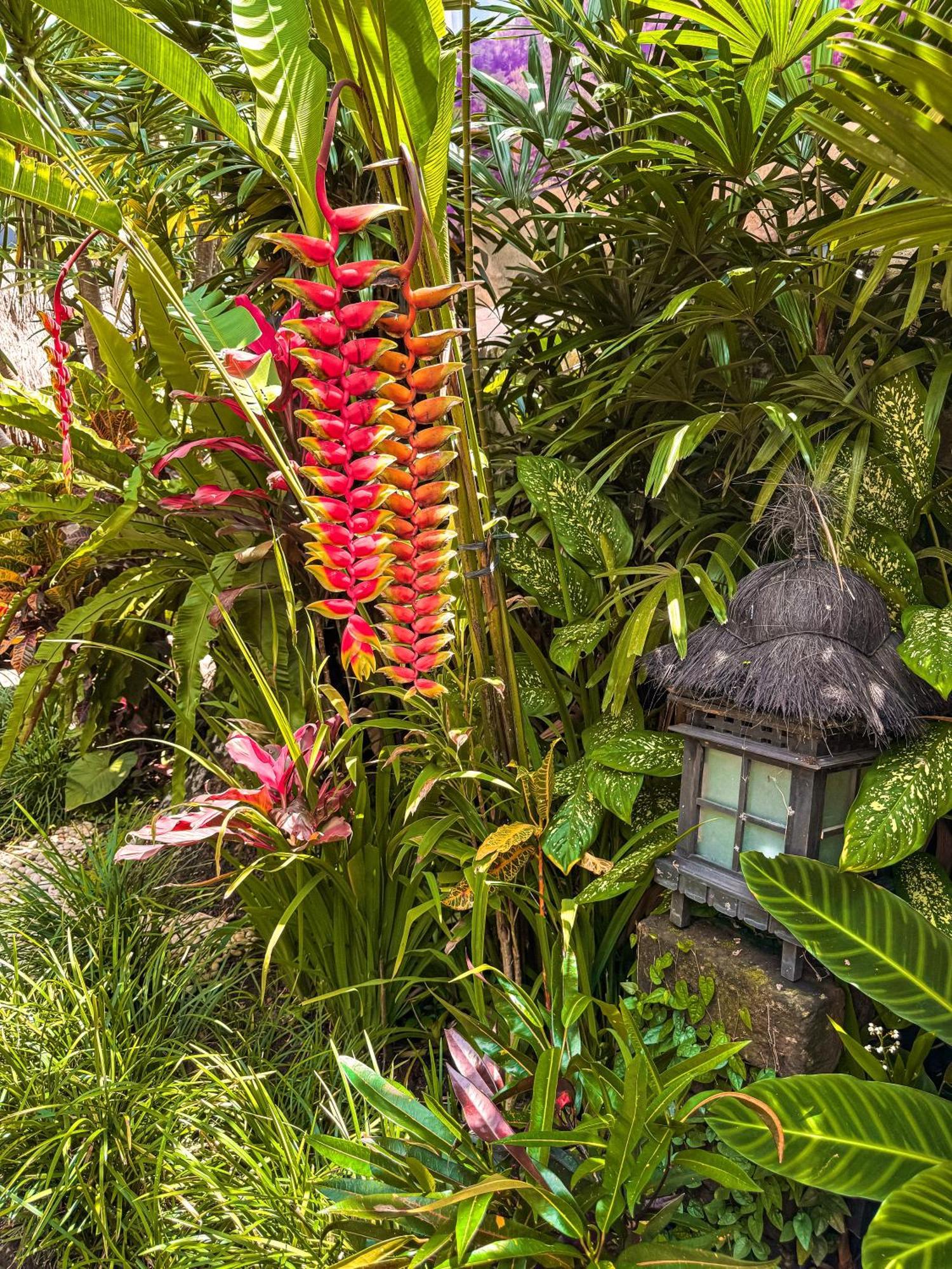 Bali Maison ウブド エクステリア 写真